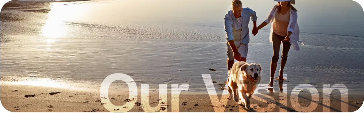 our vision